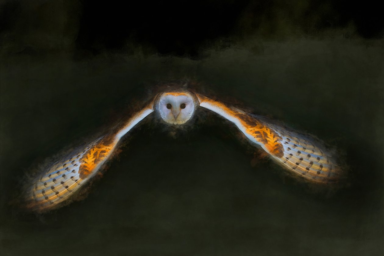 Nachtvlucht door Helen White