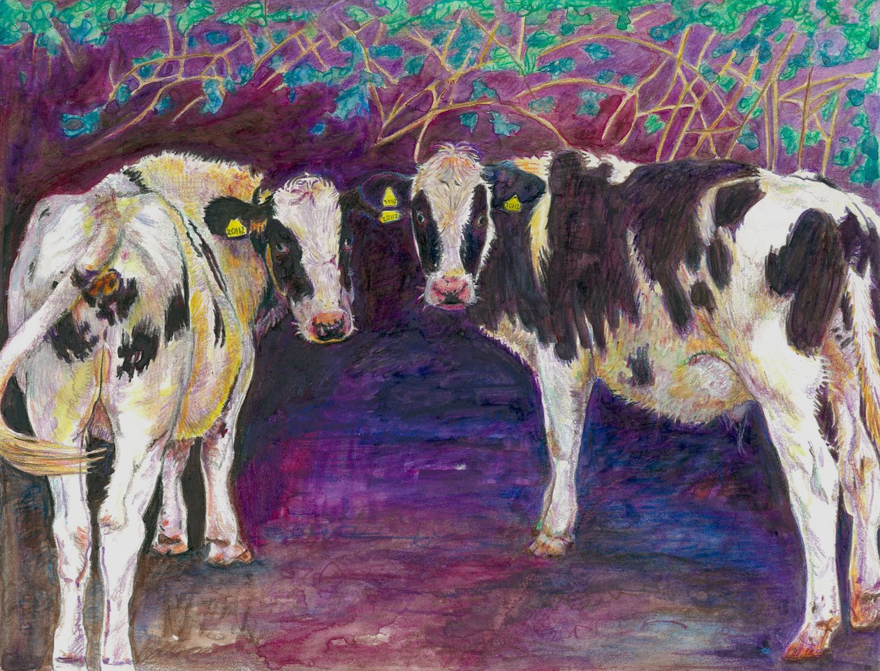 Schuilende koeien, 2011 door Helen White