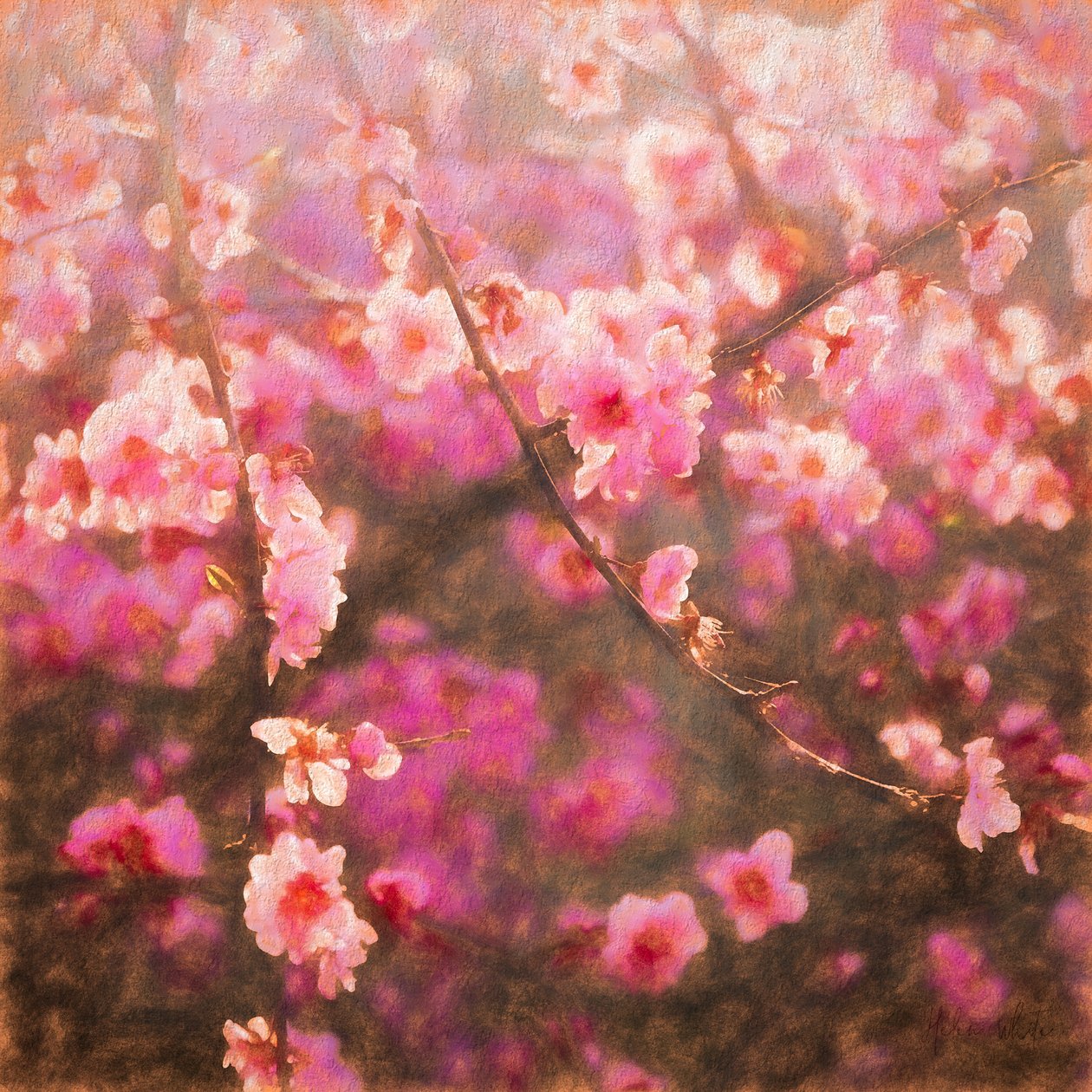 Lente Ontsprongen door Helen White
