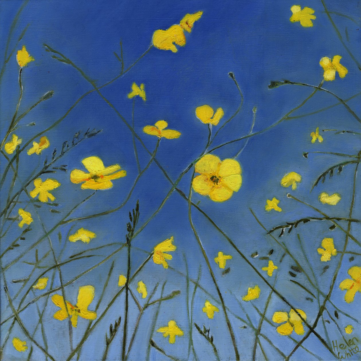 Zomerdagen en luie manieren, 2015 door Helen White