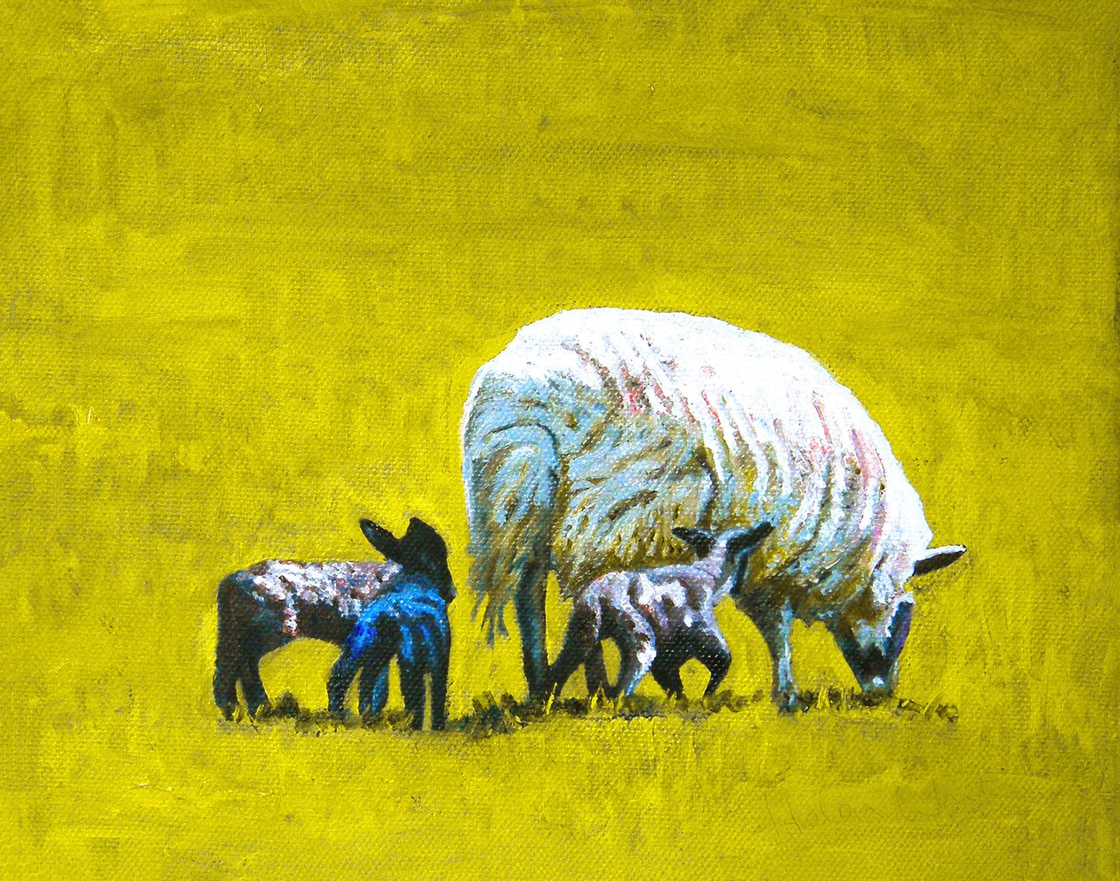 Naar aanleiding van, 2009 (olieverf op doek) door Helen White