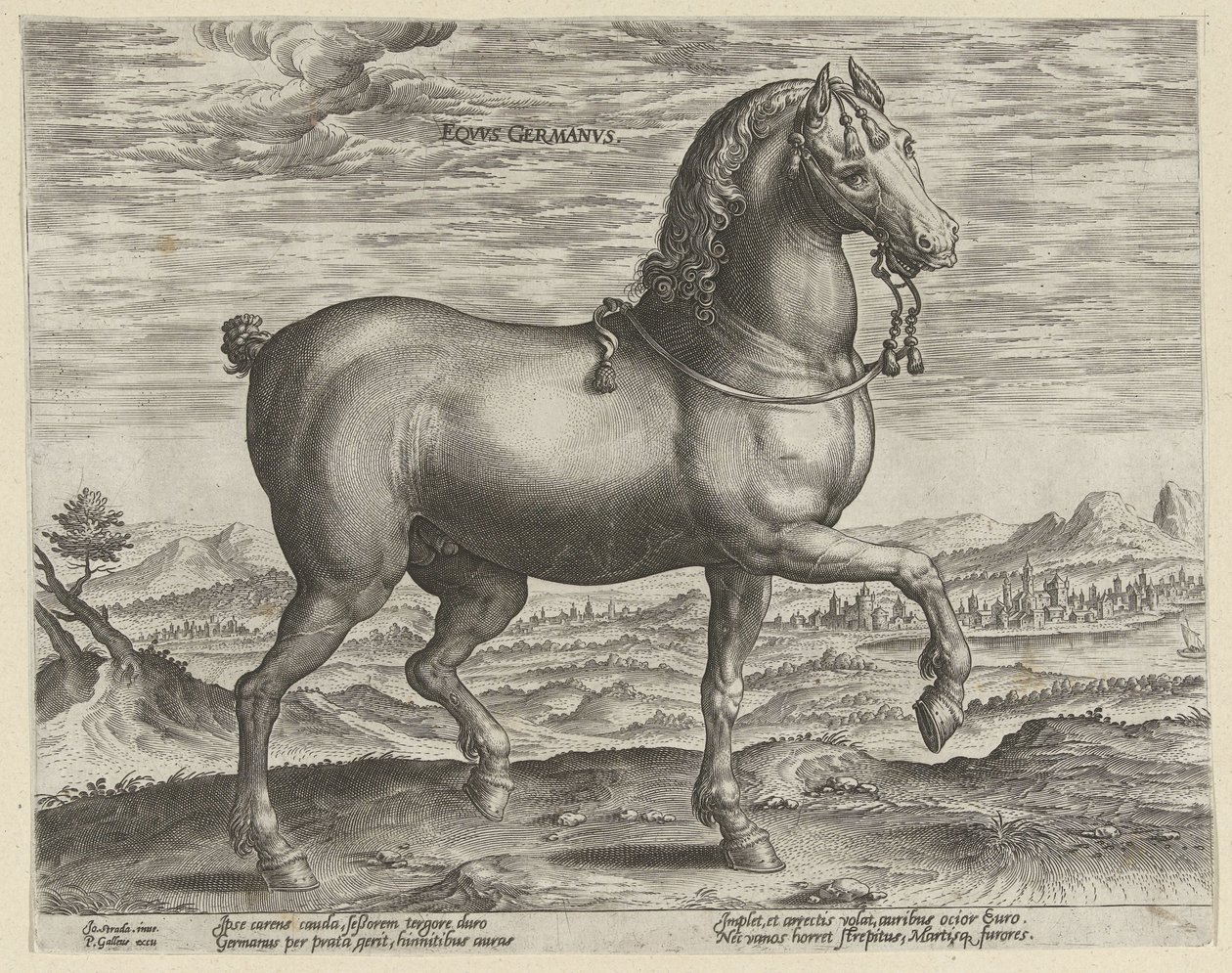 Hengst uit Duitsland door Hendrick Goltzius (possibly)