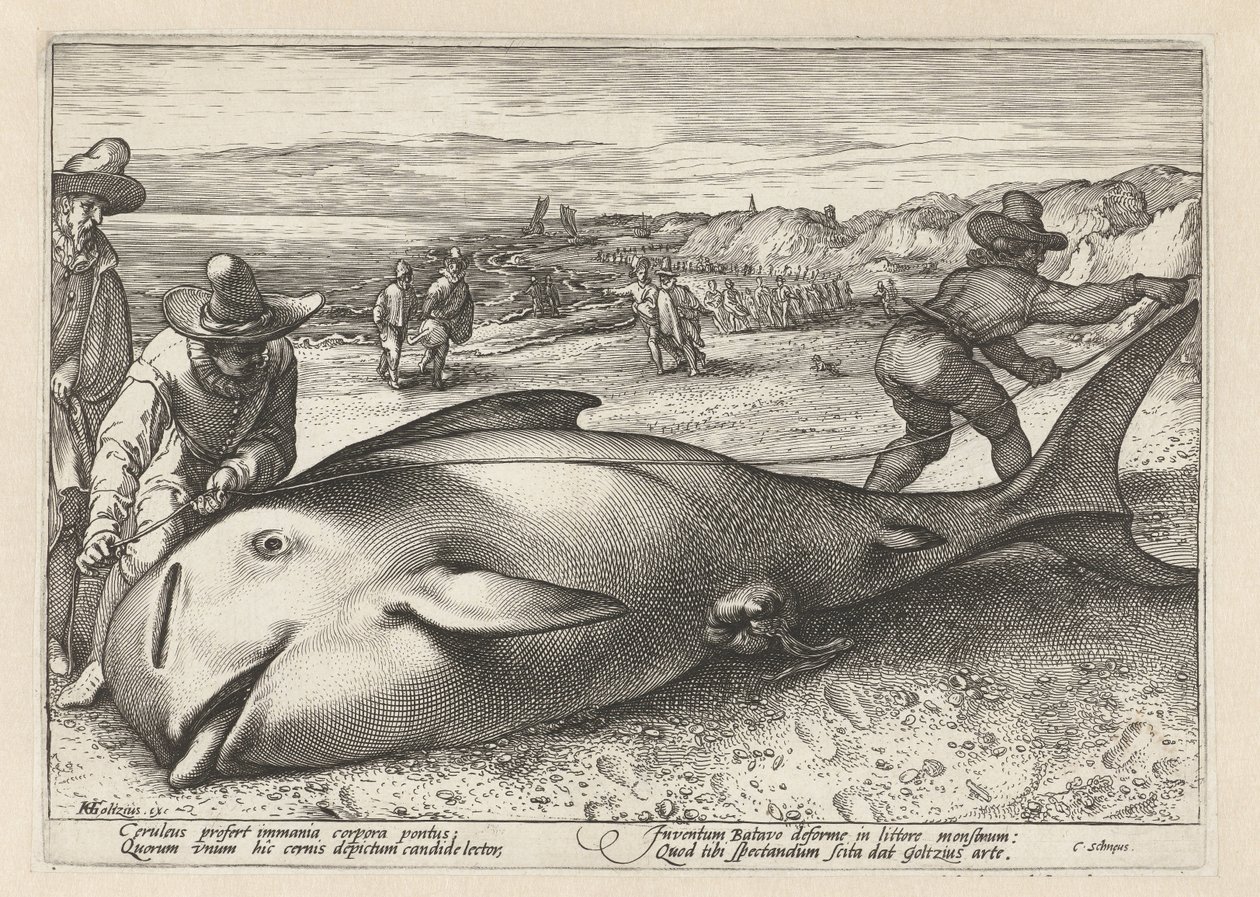 Twee mannen meten een gestrande walvis door Hendrick Goltzius (workshop of)