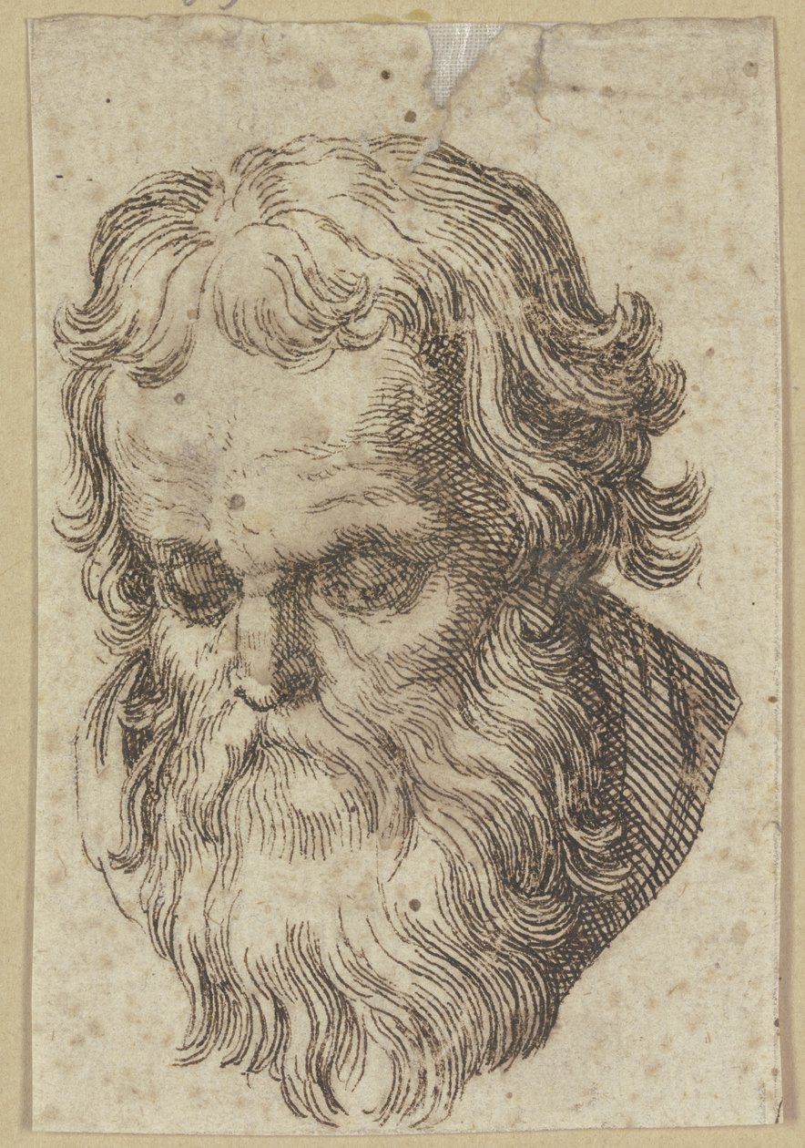 Hoofd van een man met een baard, voorovergebogen door Hendrick Goltzius