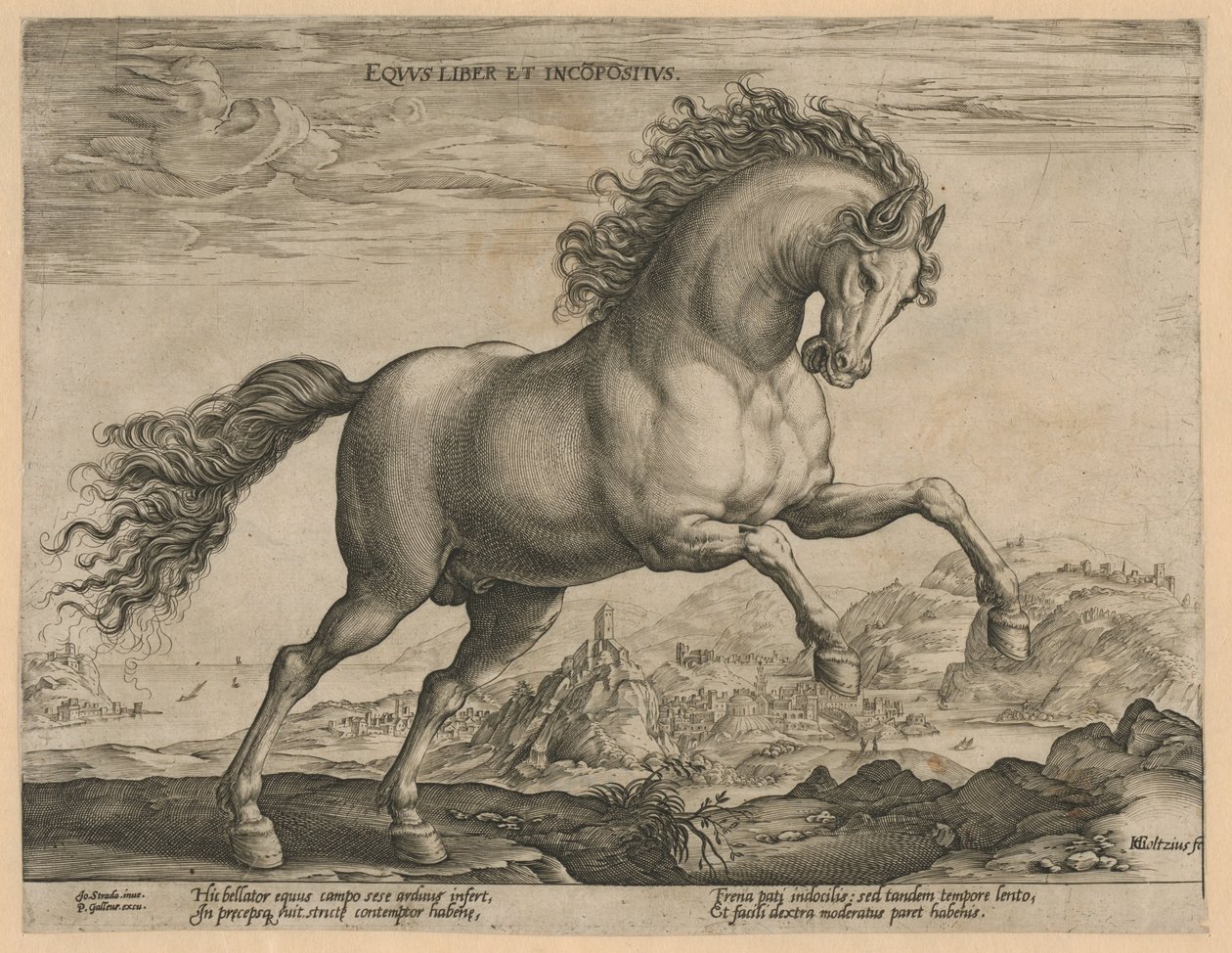 Wild paard door Hendrick Goltzius