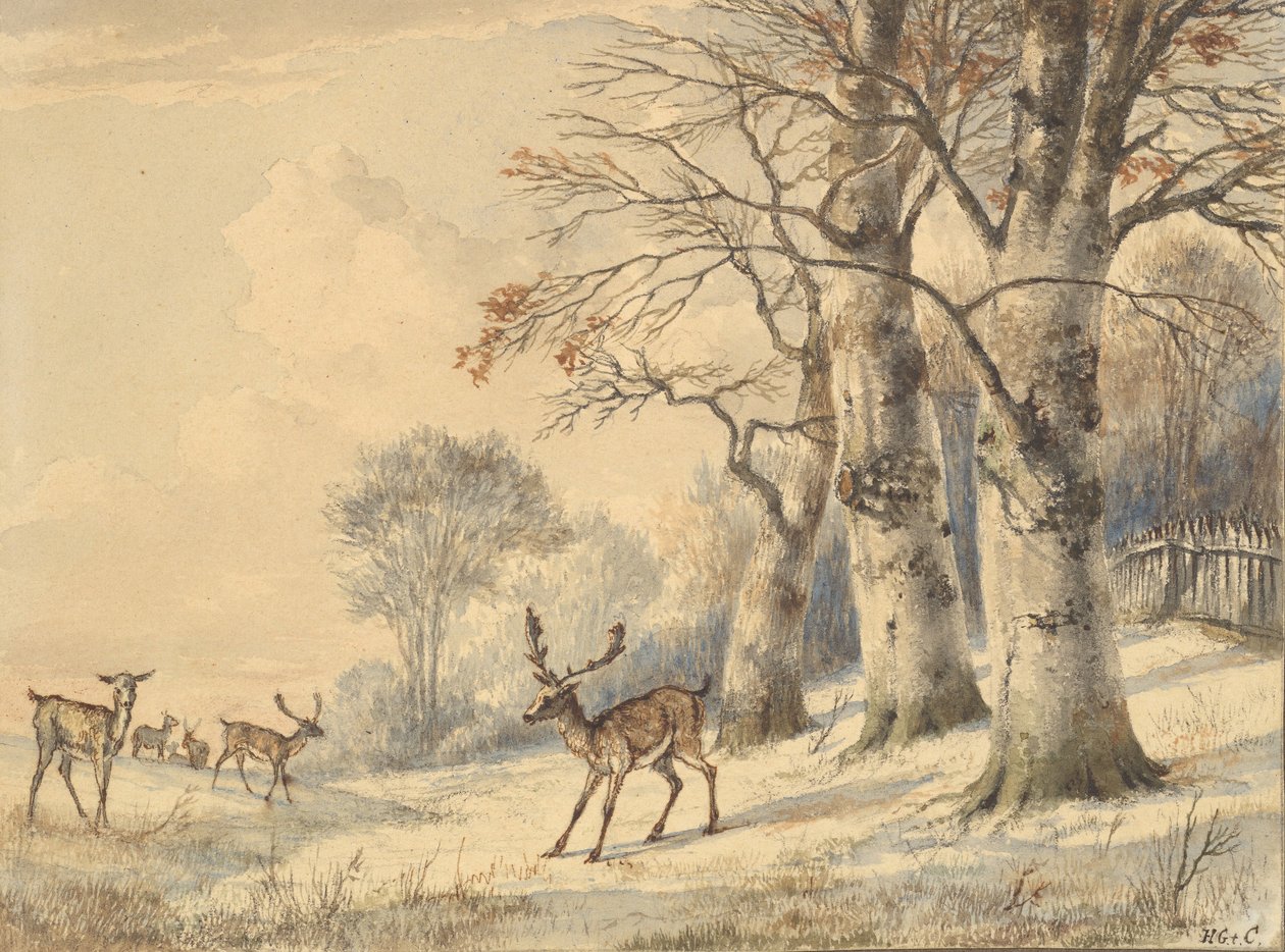 Herten onder beukenbomen in de zomer, 1853 door Hendrik Gerrit ten Cate