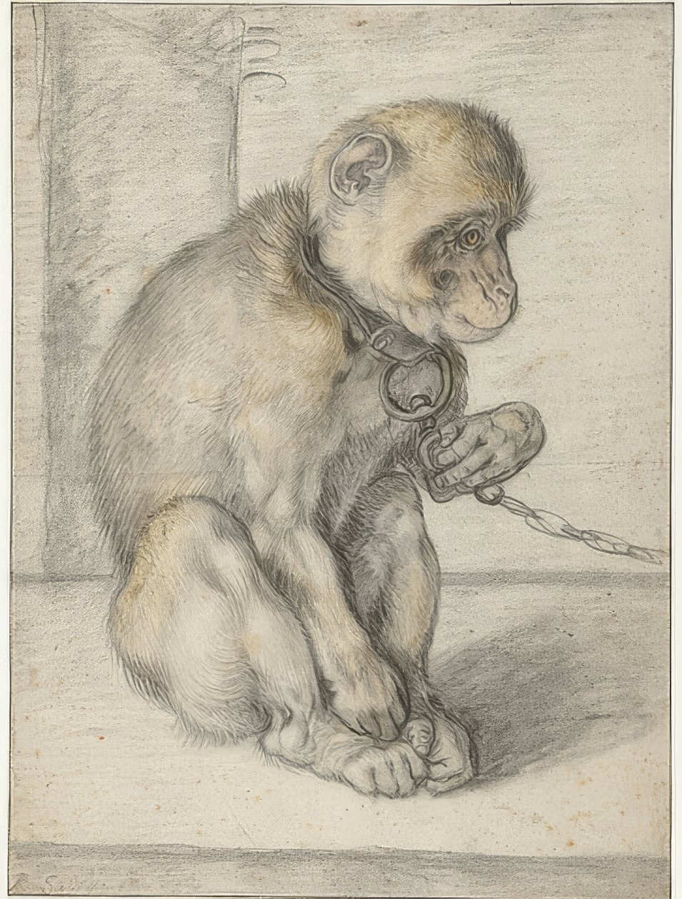 Een zittende aap aan een ketting door Hendrik Goltzius