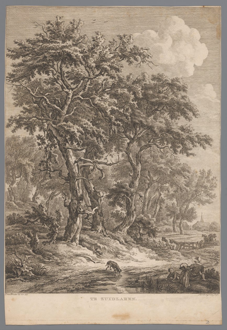 Landschap bij Zuidlaren door Hendrik Schwegman