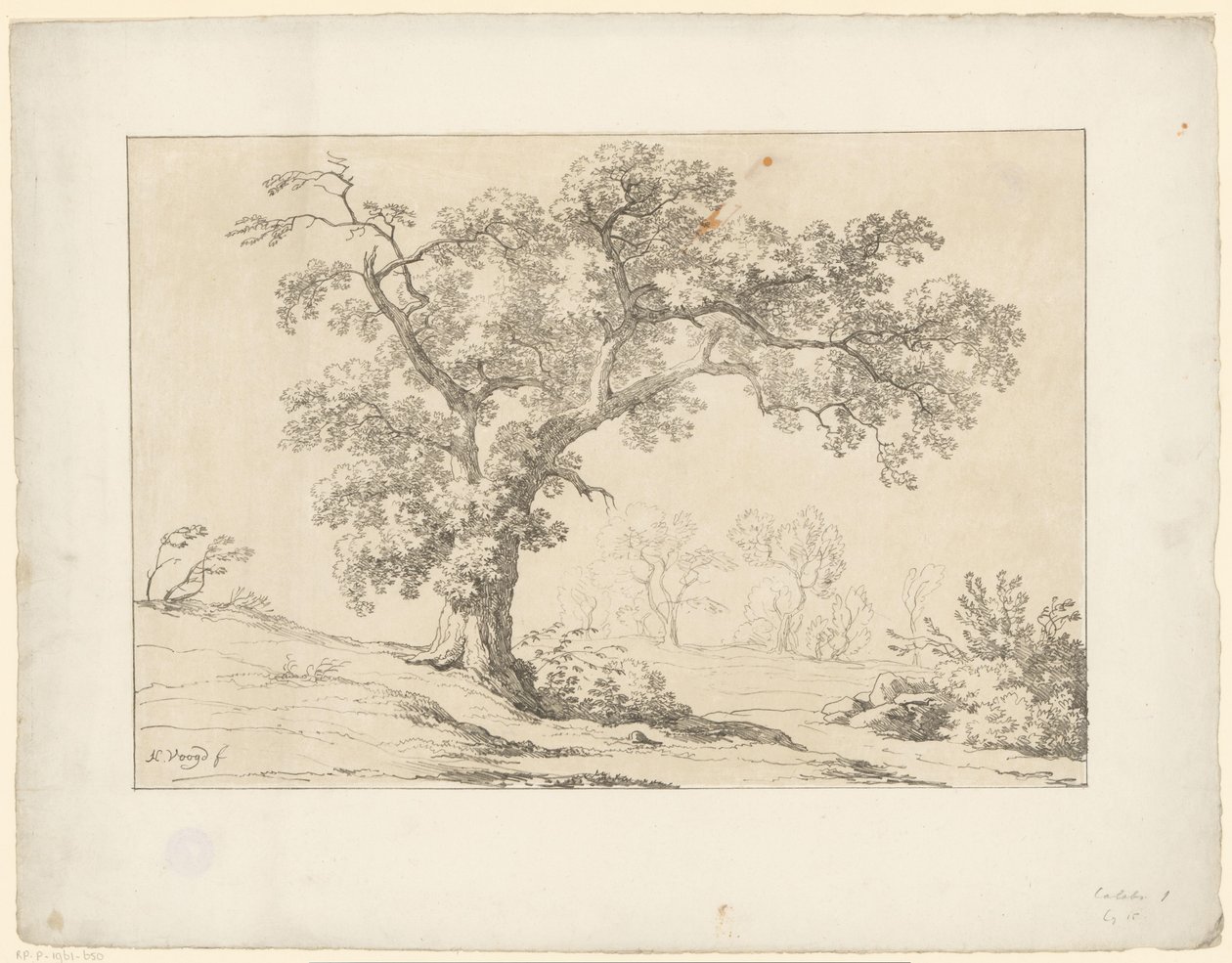 Boom in landschap door Hendrik Voogd
