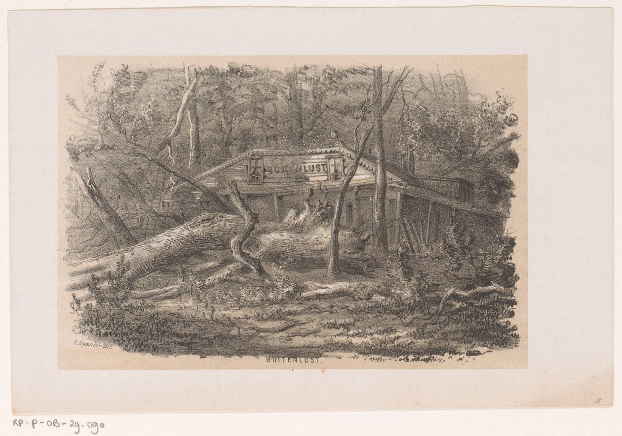 Omgewaaide boom bij Buitenlust, na de storm van 28 mei 1860 door Hendrik Wilhelmus Last