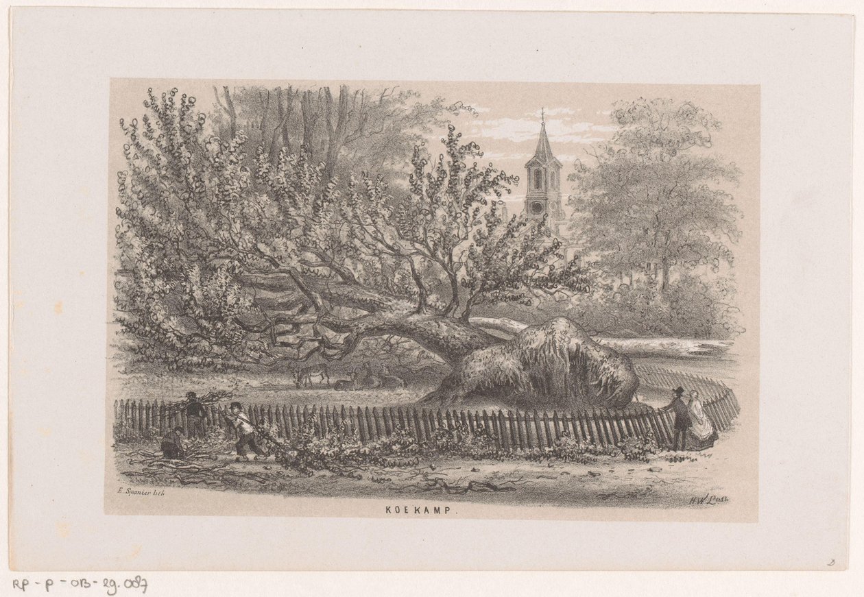 Omgewaaide boom bij de Koekamp, na de storm van 28 mei 1860 door Hendrik Wilhelmus Last