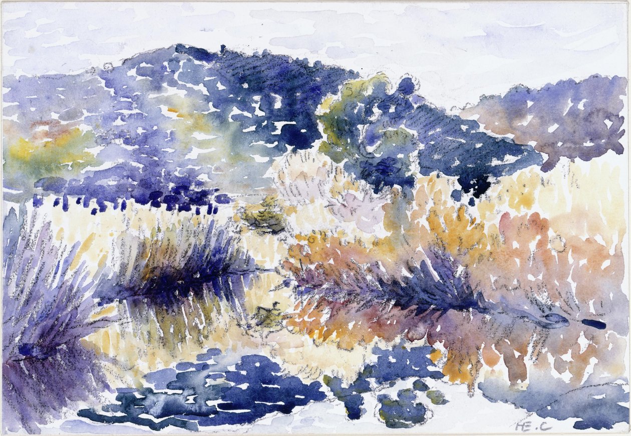 Vijver in het struikgewas door Henri-Edmond Cross
