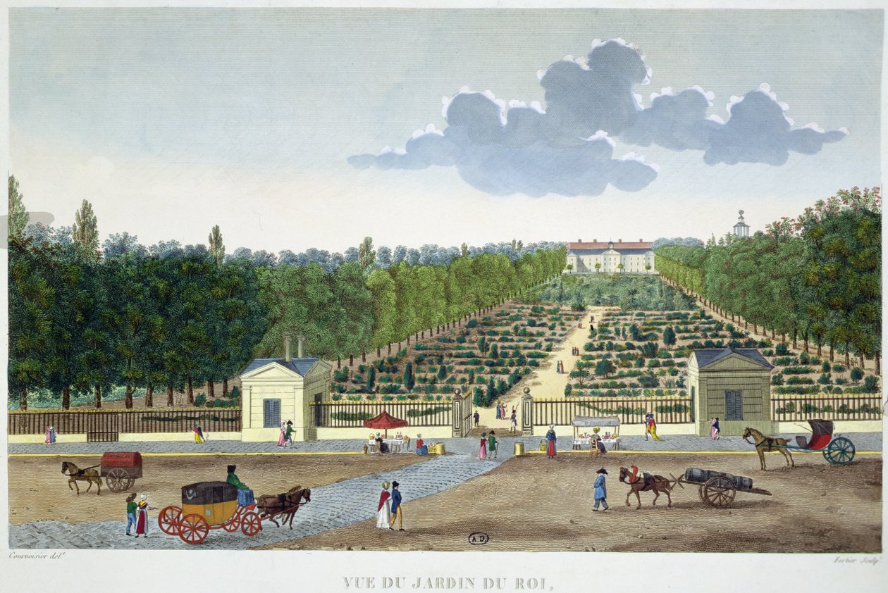 Uitzicht op de Jardin du Roi in Parijs vanaf de brug van Austerlitz, gegraveerd door Claude Fortier (1775-1835) door Henri (after) Courvoisier-Voisin