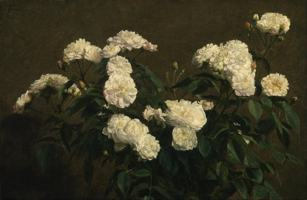 Stilleven van witte rozen door Henri Fantin Latour