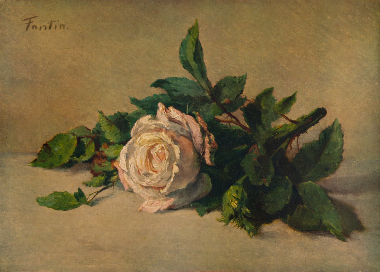 Witte Roos, ca. 1863, 1938 door Ignace Henri Jean Fantin Latour