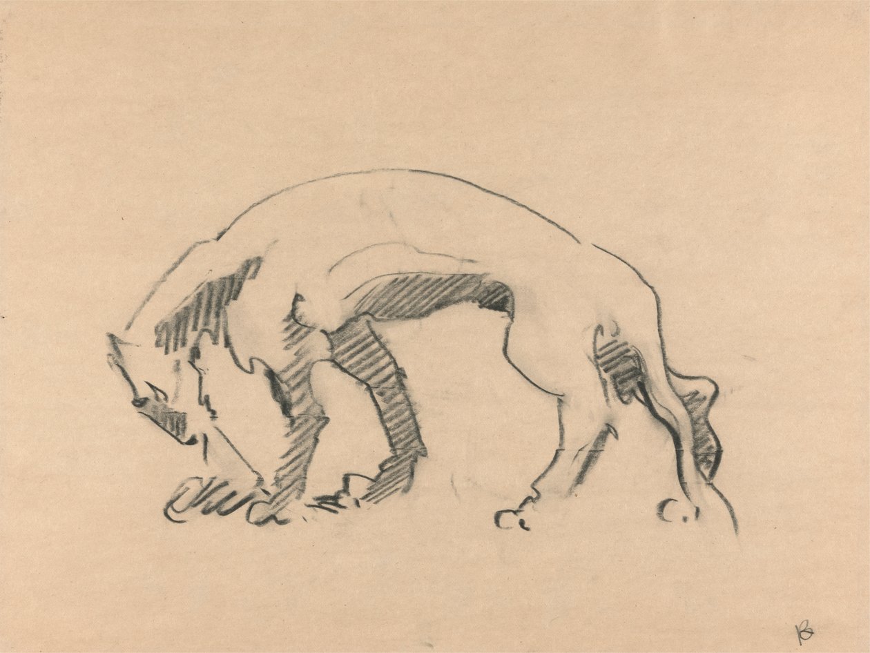 Leeuwin in profiel door Henri Gaudier Brzeska