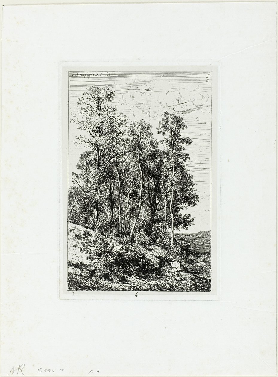 Berken en eiken door Henri-Joseph Harpignies