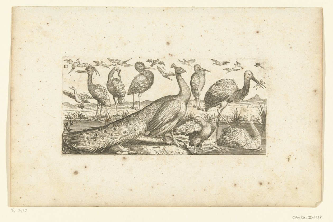 Negentien vogels door Henri Le Roy