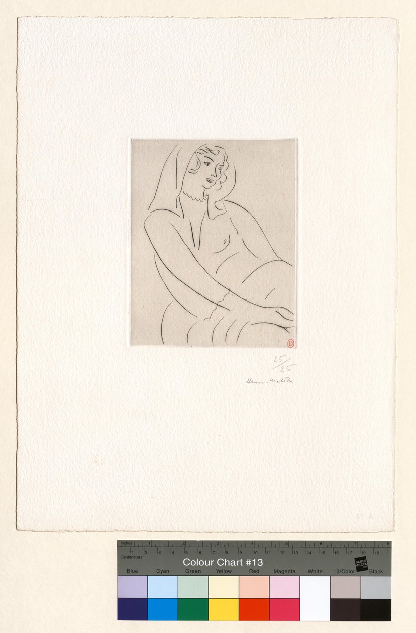 Jonge vrouw, sluier over het hoofd door Henri Matisse