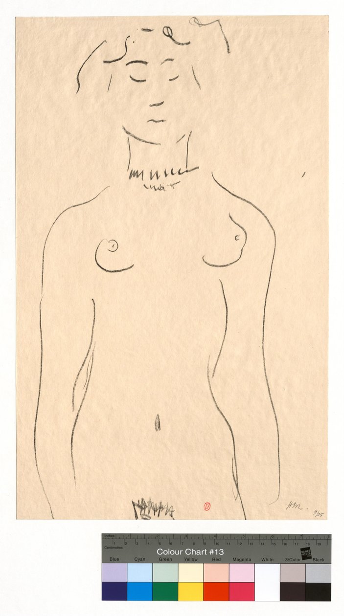 Het idool door Henri Matisse