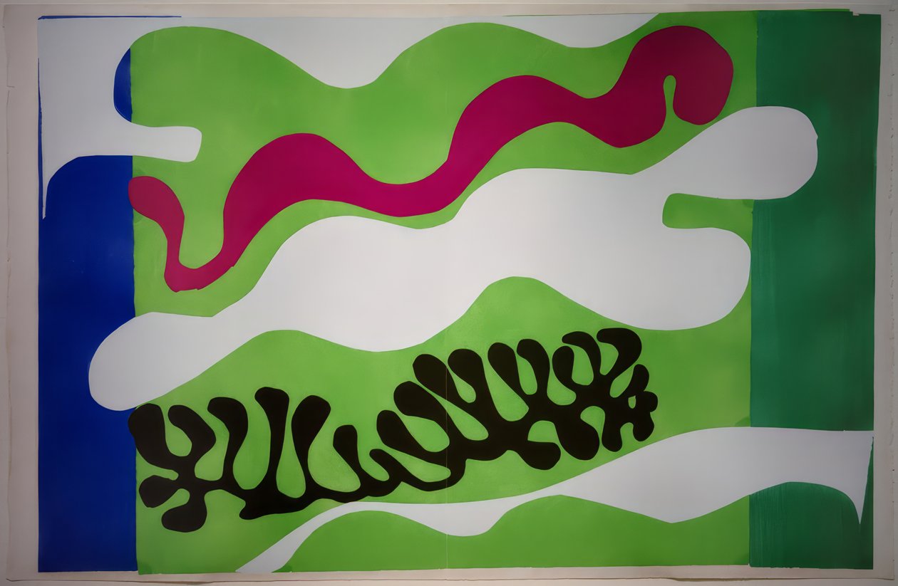 Le Lagon II / Jazz door Henri Matisse
