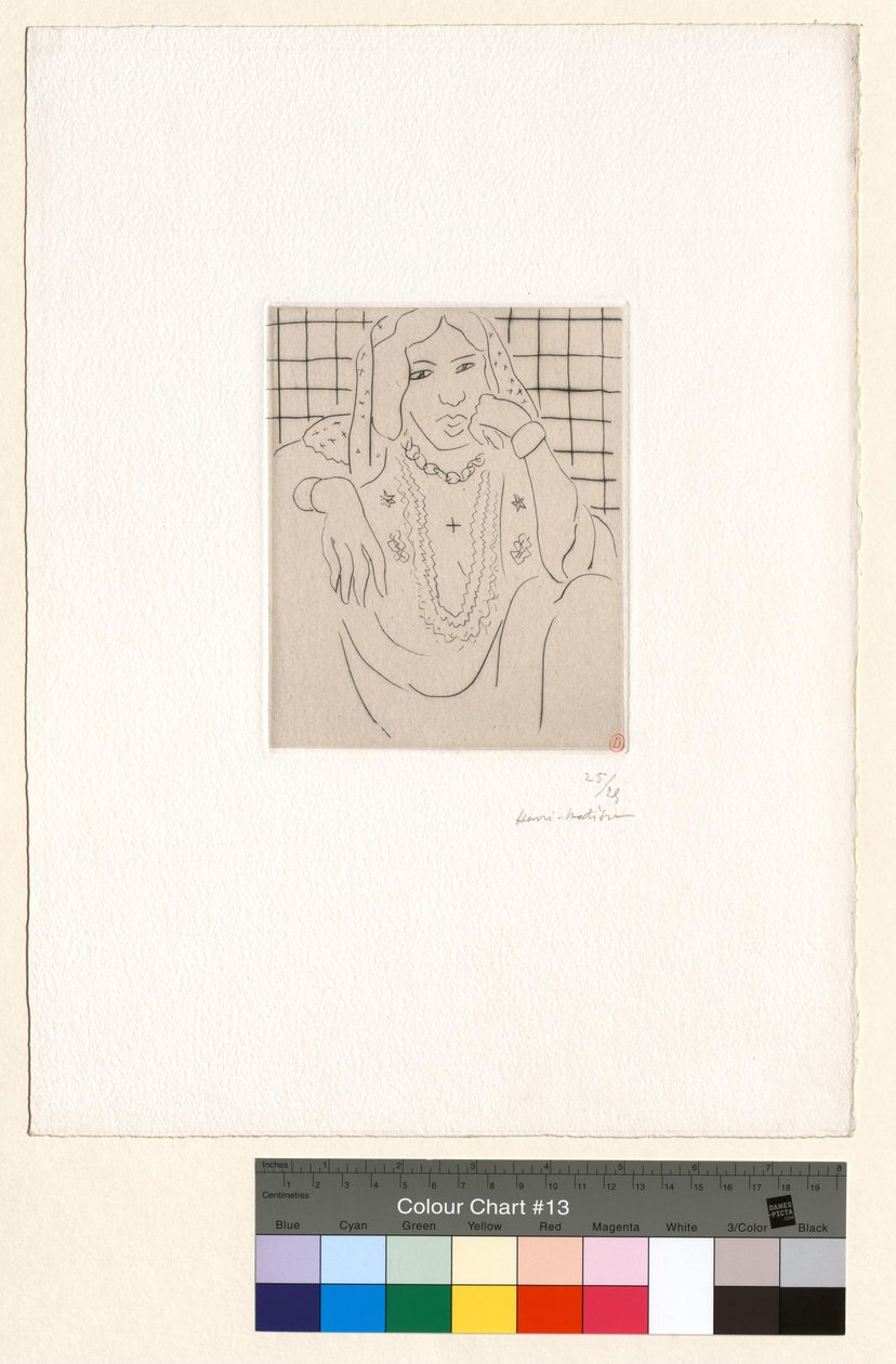 Odaliske tegen een geruite achtergrond door Henri Matisse
