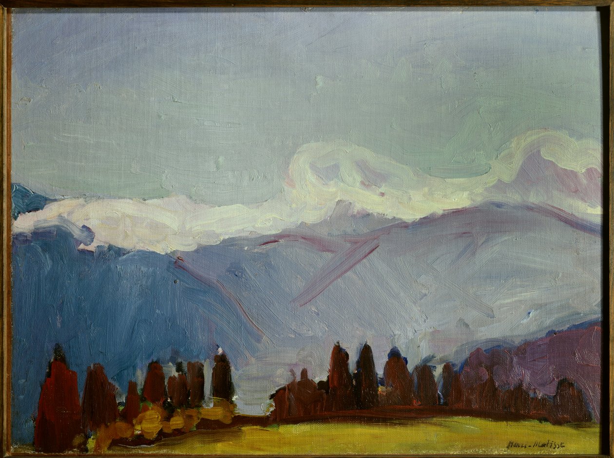 de alpen van savoie 1901 (olieverf op doek) door Henri Matisse