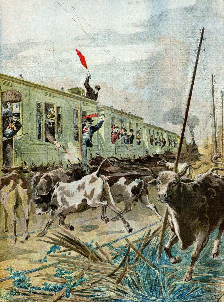 Een trein aangevallen door een kudde stieren,1895 (Illustratie) door Henri Meyer