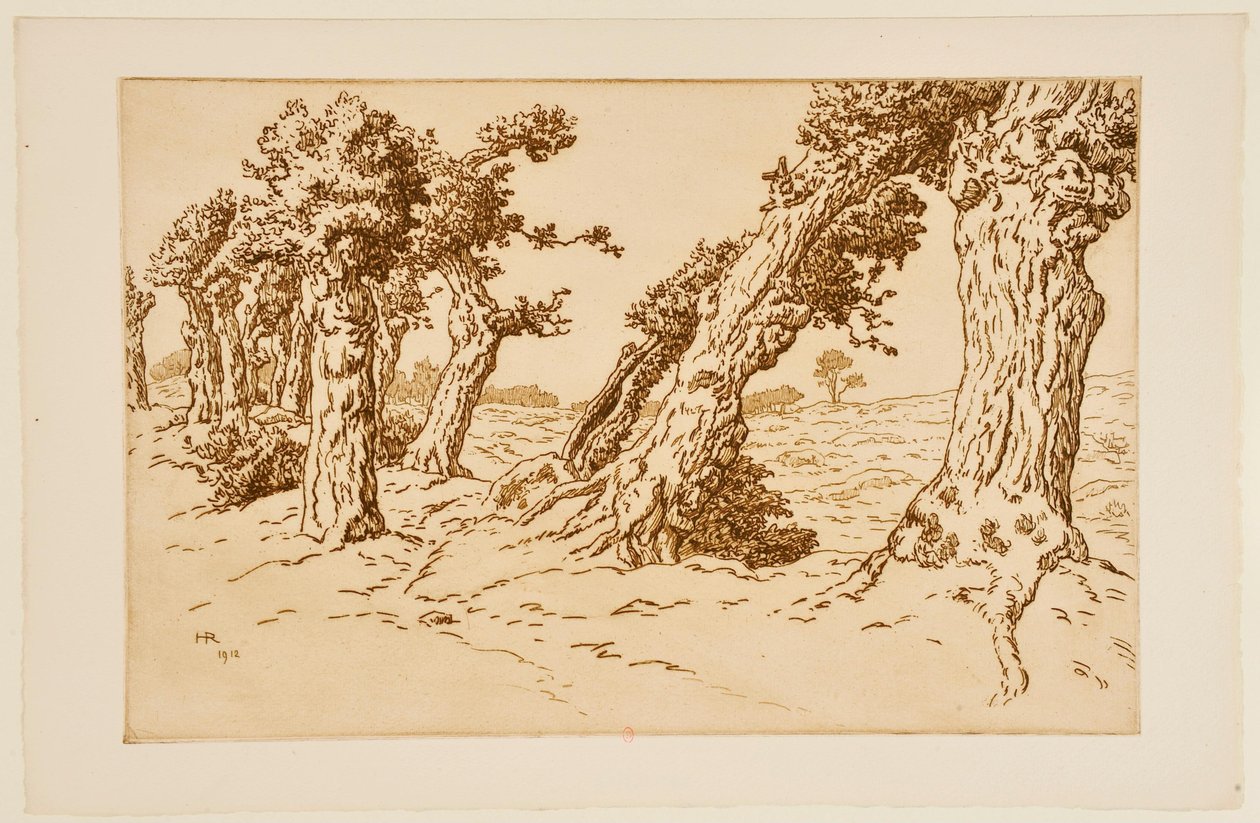 Knotige Baumstämme door Henri Rivière