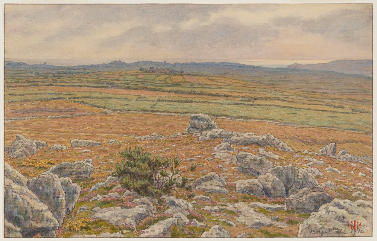 Heidevelden van Morgat door Henri Rivière