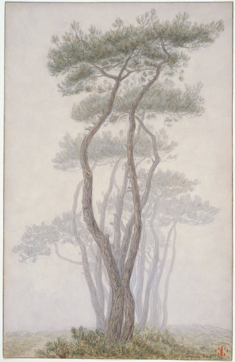Loguivy, bomen door Henri Rivière