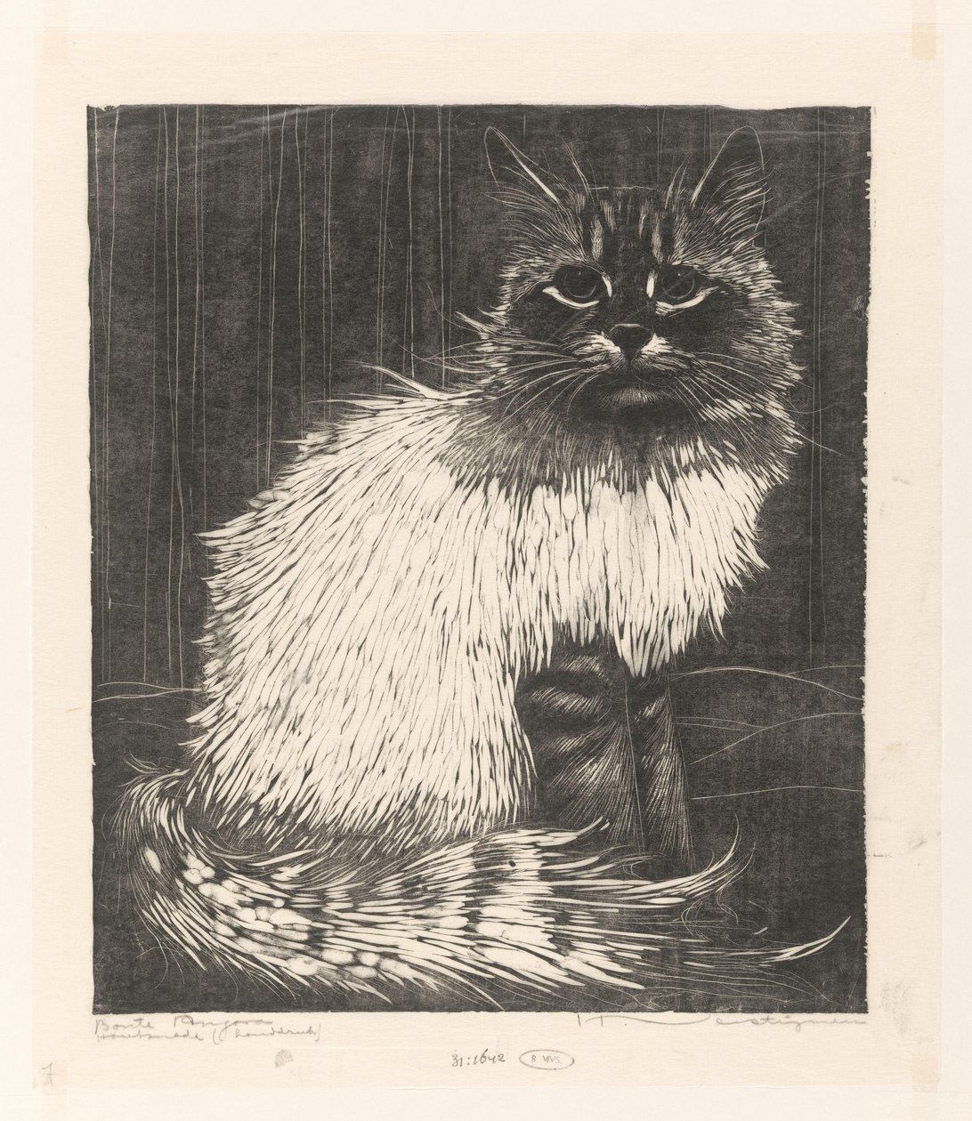 Bonte Angora door Henri Verstijnen (signed by artist)