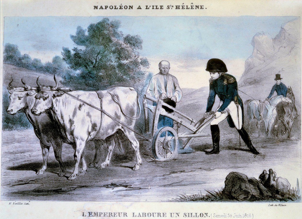 Napoleon I (1769-1821) op Sint-Helena: de keizer ploegt een voor (30/06/1816) Lithografie van Villain. 1816 Ile d