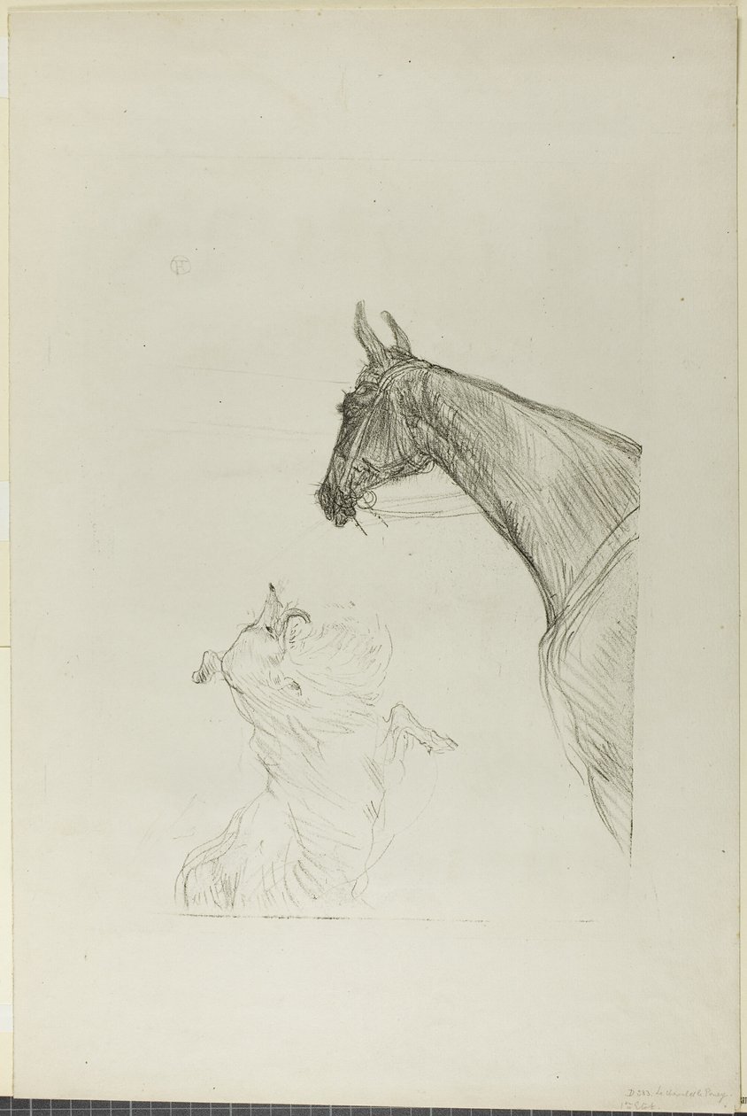Paard en Collie door Henri de Toulouse-Lautrec