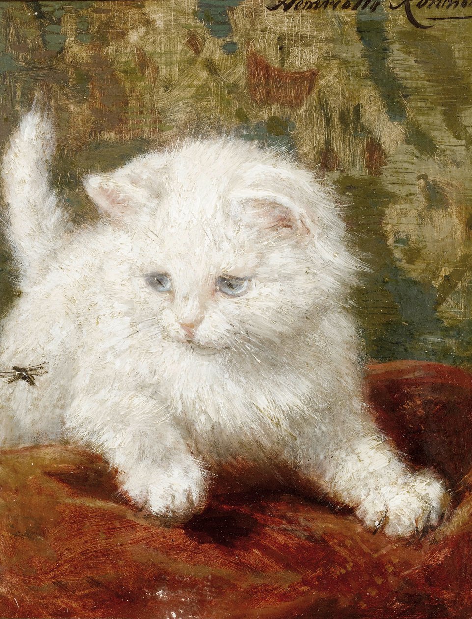 Nieuwsgierigheid door Henriëtte Ronner Knip