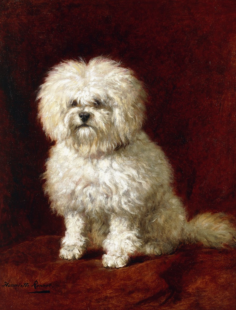 Een poedel door Henriëtte Ronner Knip