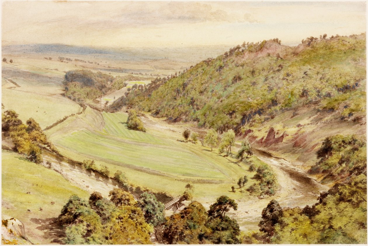 Birdoswald door Henry Burdon Richardson