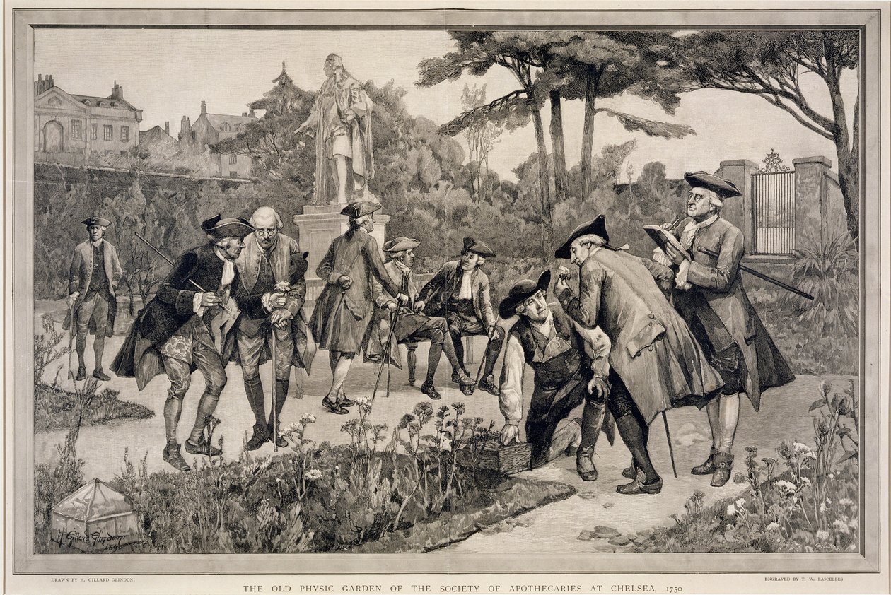 De Oude Fysieke Tuin van de Society of Apothecaries in Chelsea, 1750, gegraveerd door Thomas W. Lascelles, 1890 door Henry Gillard Glindoni