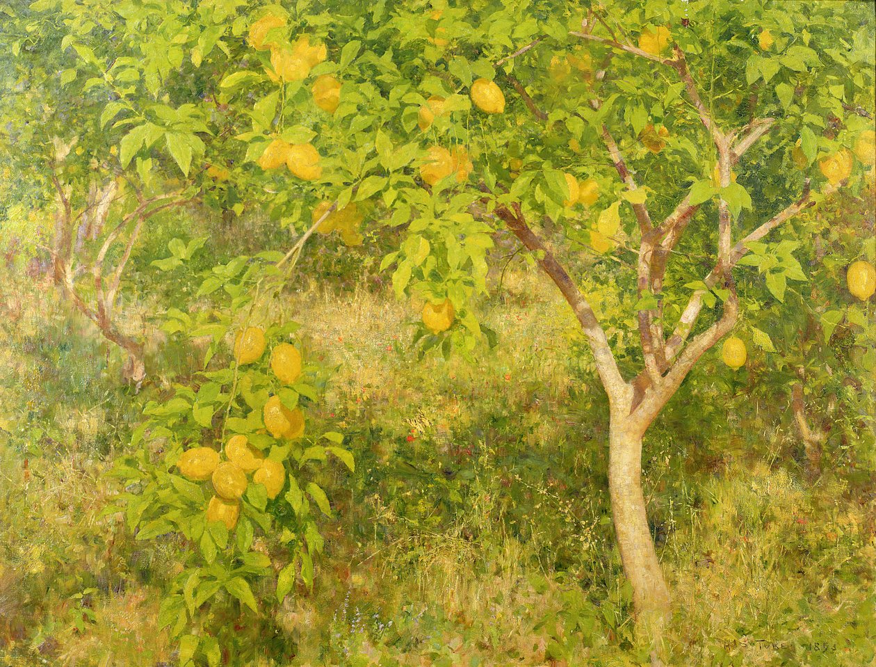 De Citroenboom, 1893 door Henry Scott Tuke