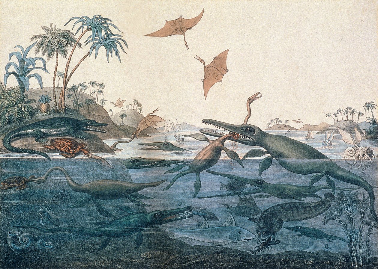 Duria antiquior (Oud Dorset), een fantasievolle reconstructie van het leven van de Jura-zeeën, gegraveerd door George Scharf, gedrukt door Charles Joseph Hullmandel door Henry Thomas De La Beche