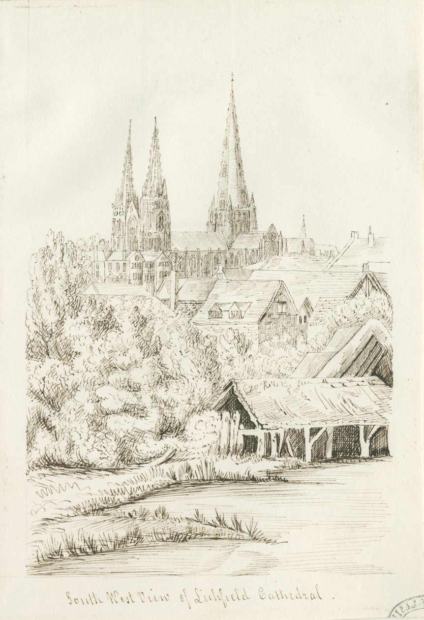 Lichfield Kathedraal - Zuidwest Uitzicht door Henry Curzon Allport