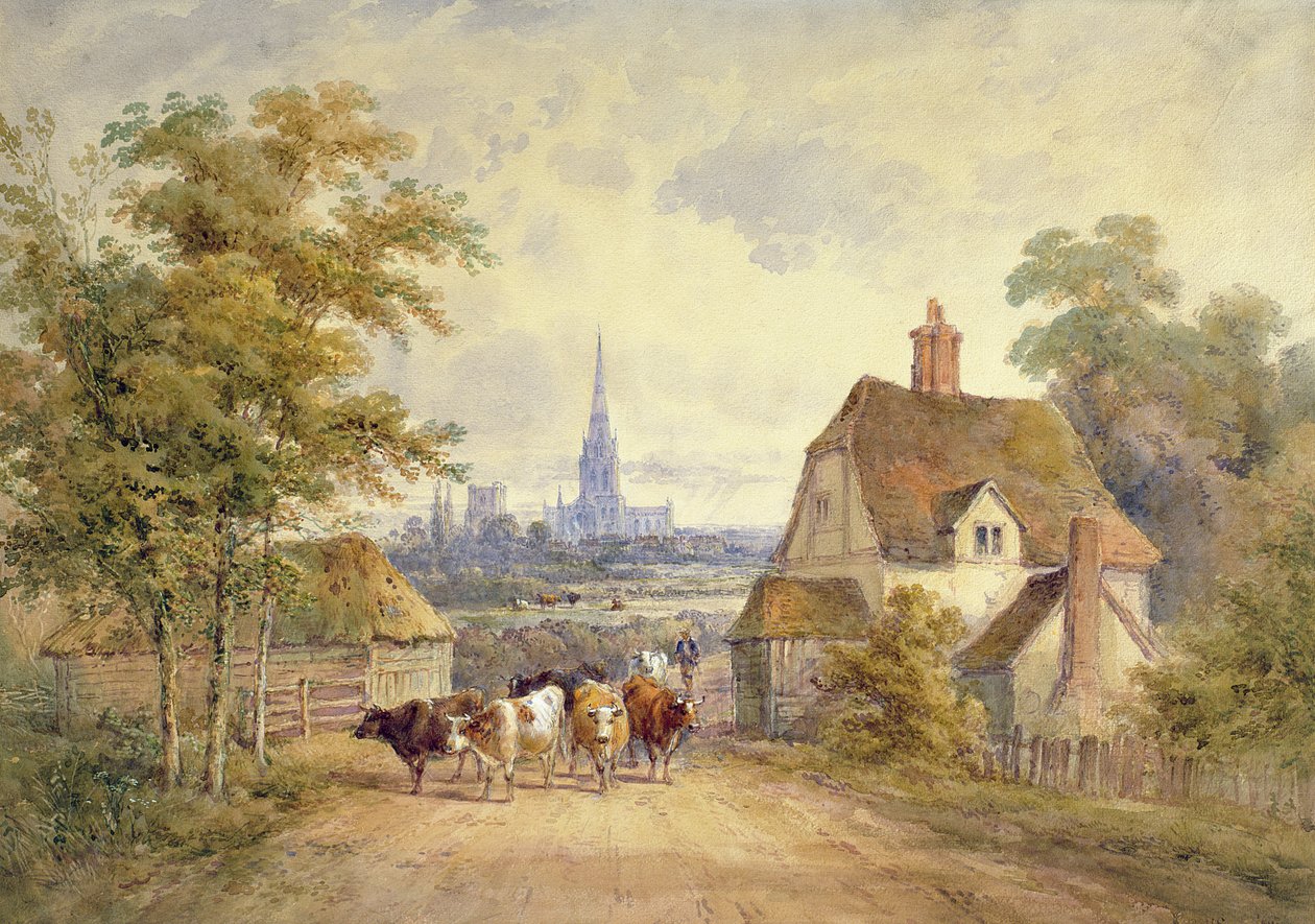 Kathedraal van Chichester, Sussex door Henry Earp