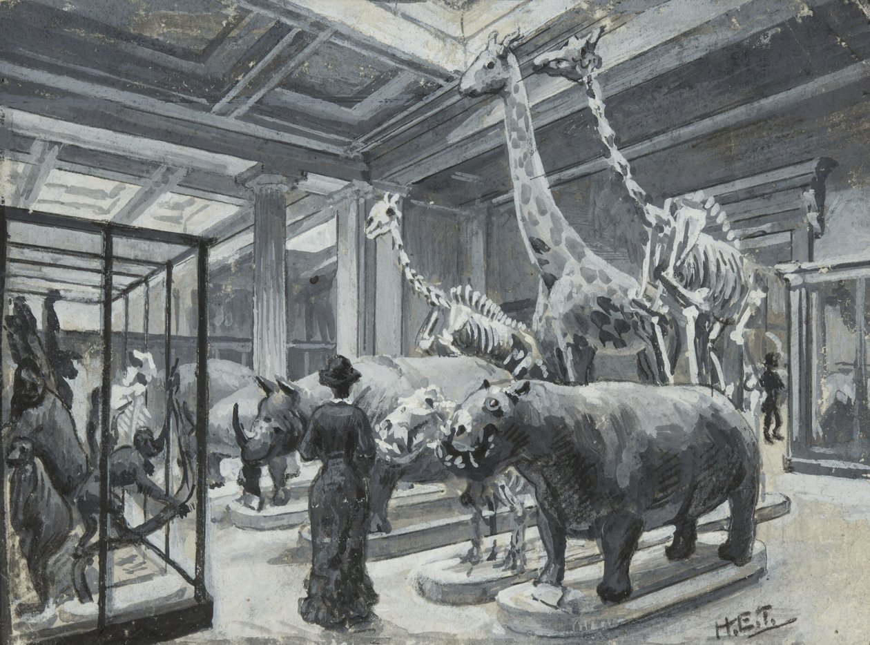 Interieur van het British Museum met de galerij met dierententoonstellingen, ca. 1880 door Henry Edward Tidmarsh