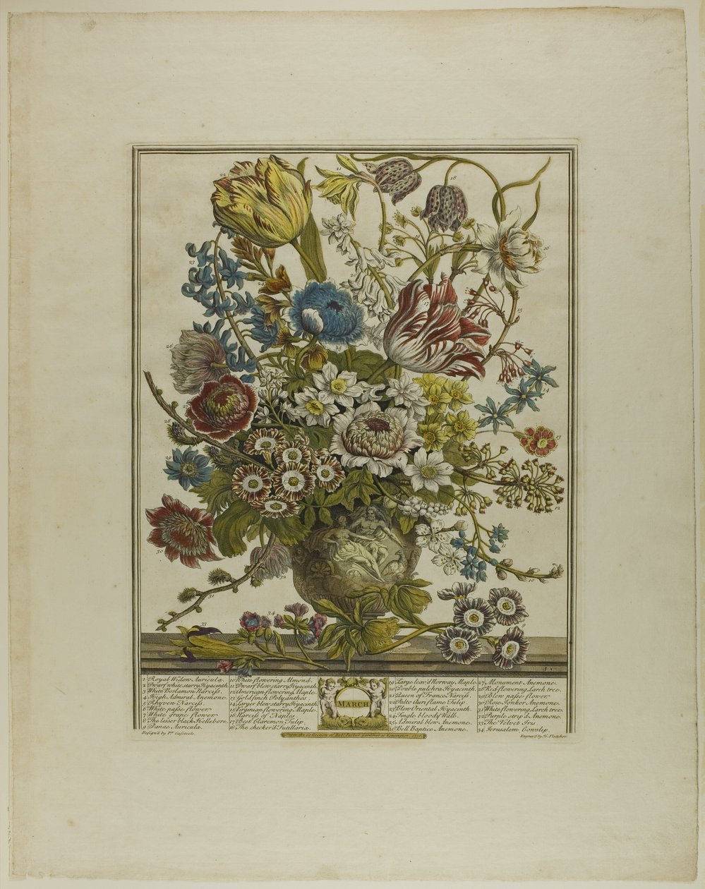 Maart, uit Twaalf Maanden van Bloemen door Henry Fletcher