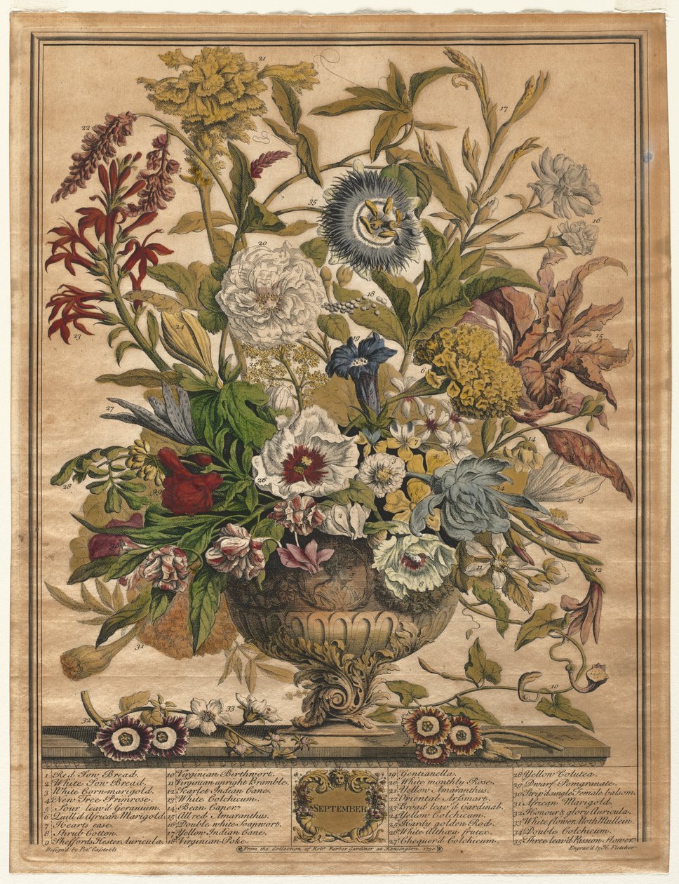 Twaalf maanden bloemen: September door Henry Fletcher