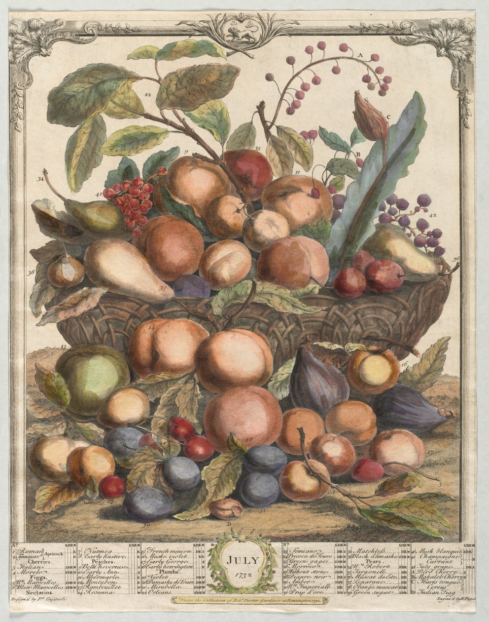 Twaalf Maanden van Fruit: Juli door Henry Fletcher
