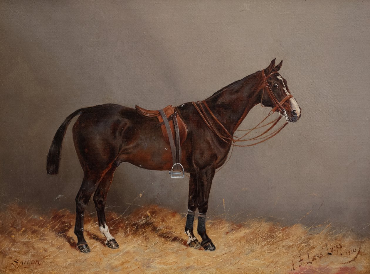 Matroos door Henry Frederick Lucas-Lucas