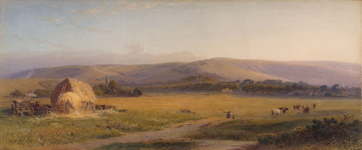 Weiden van South Downs, 1867 door Henry George Hine
