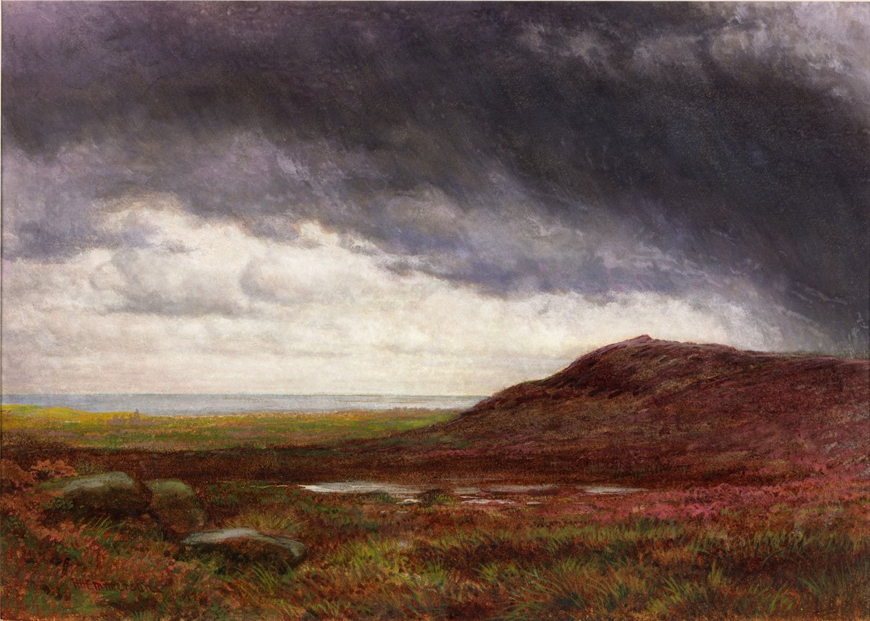 Heide door Henry Hetherington Emmerson
