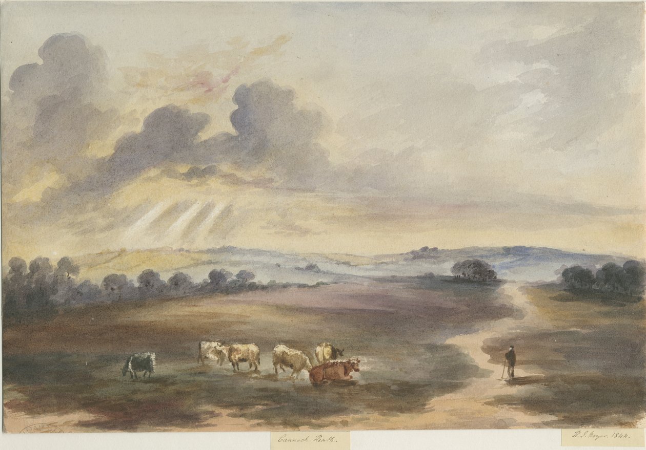Cannock Chase - "Heide": aquarel door Henry James Noyes